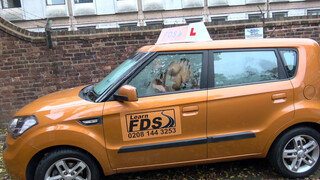 Fake Driving School rá spriccelek a hatalmas néger faszodra