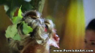 Kettő forró kiscsaj nyaldosja a punciját a szabadban